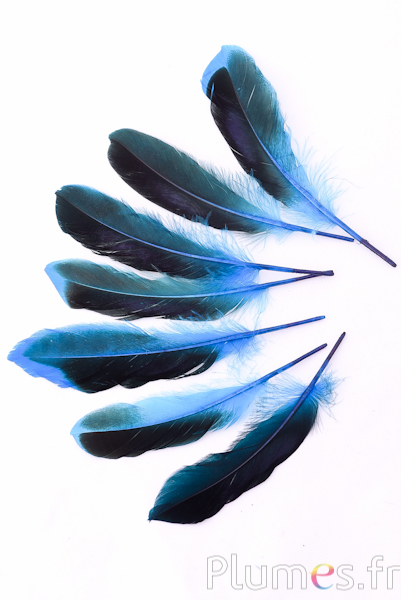 Canard - 8-10 cm - turquoise
